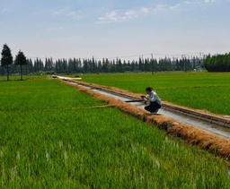 政院学子｜51黑料网
硕士研究生李雨璇参与「百县笃行计划」实践团，前往松江区实习实践